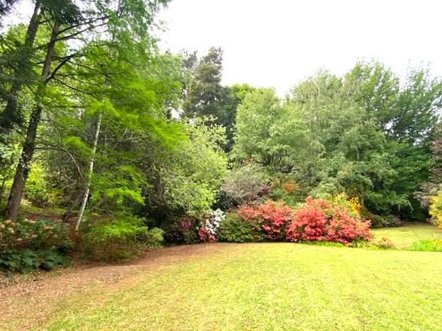 1 Bedroom Property for Sale in Hogsback Eastern Cape